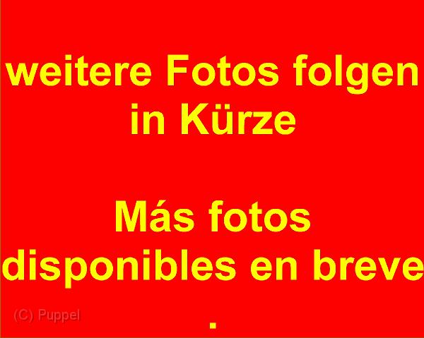 Z weitere Fotos SP.jpg